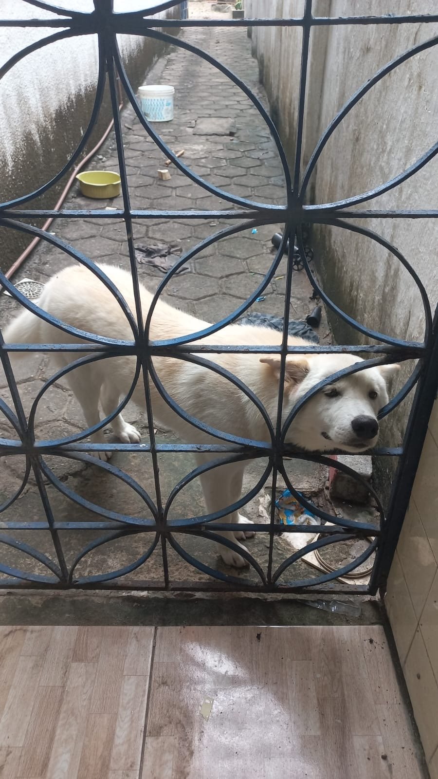 Vendo urgente 