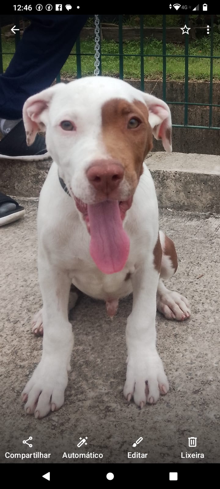 Portal Vendocão Vende se São Paulo