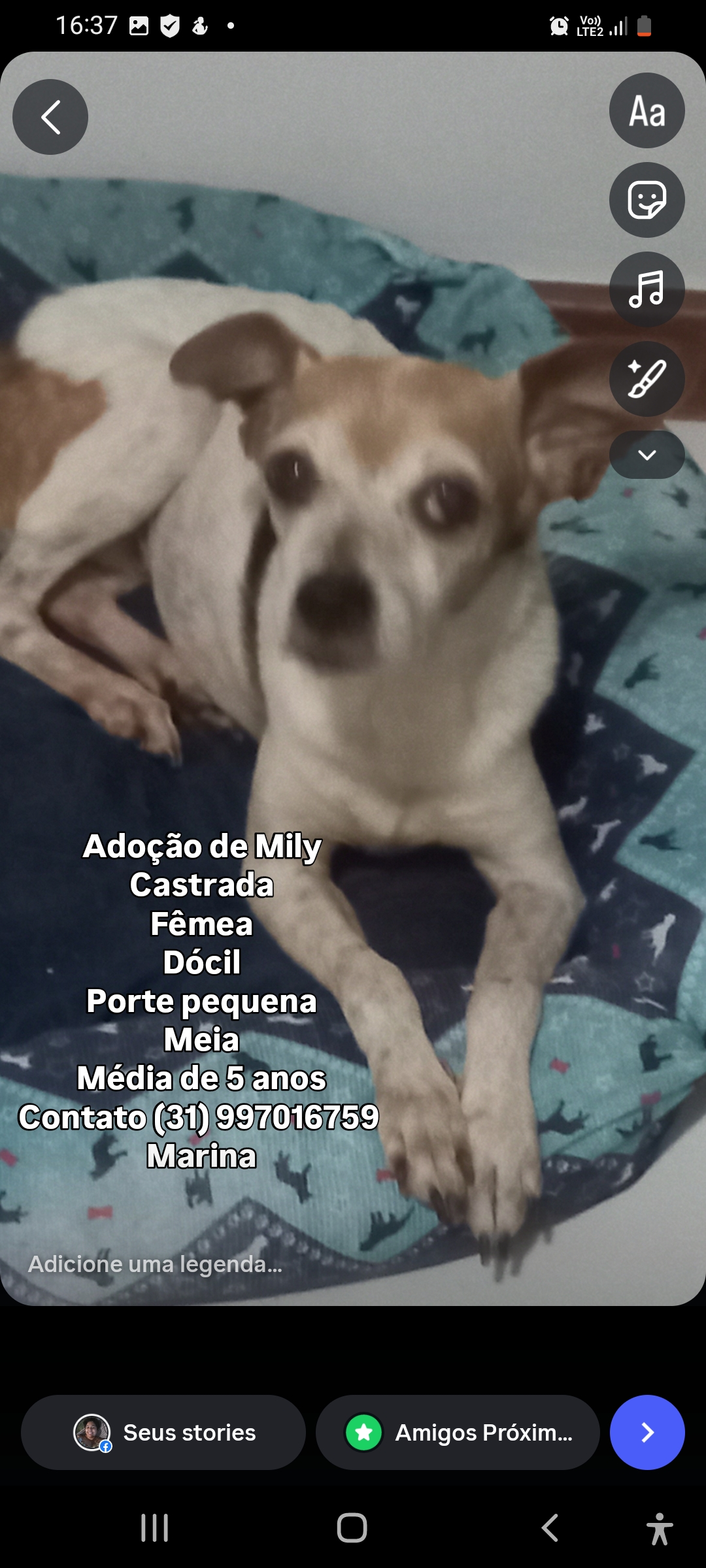 Adoção de Mily  - Foto 3
