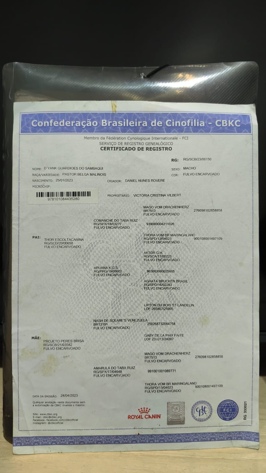 Portal Vendocão Pastor Belga de Malinois TREINADO Florianópolis 