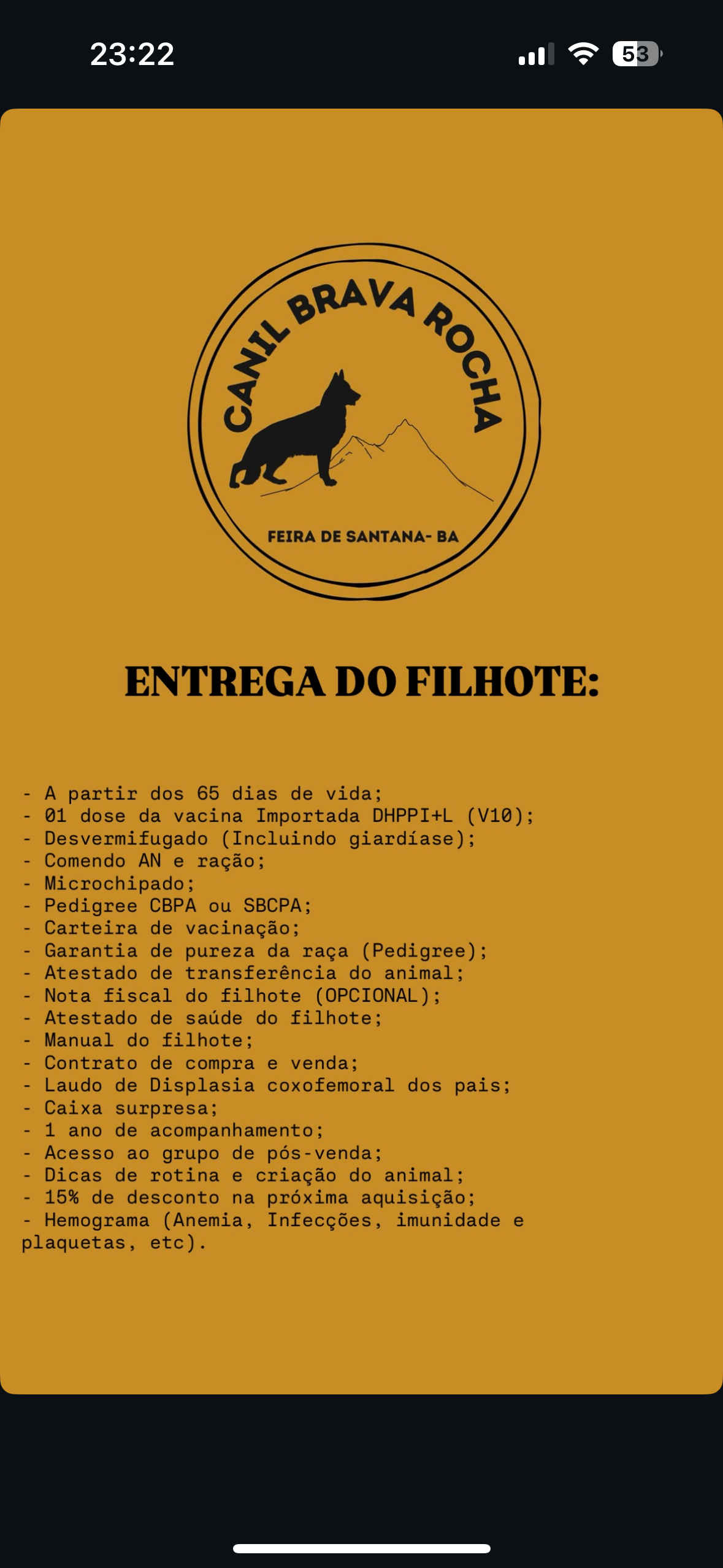 Filhotes de pastor alemão  - Foto 3