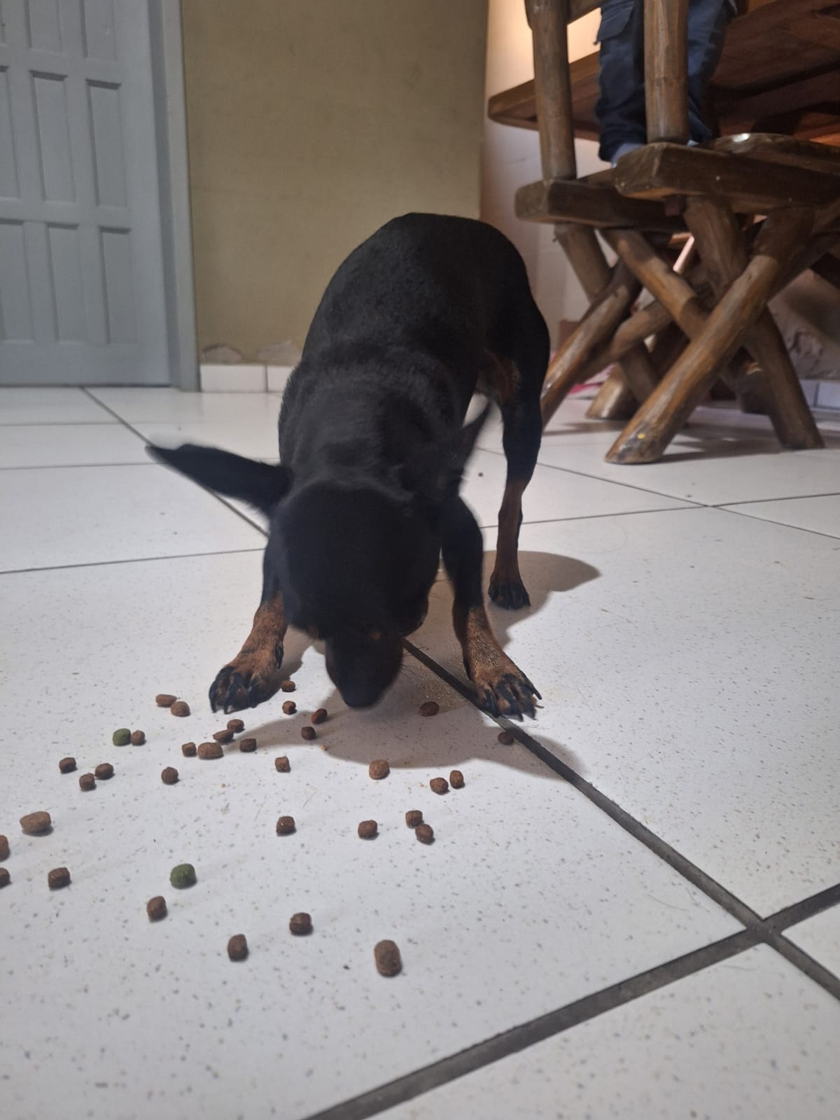 Vendo Pincher 