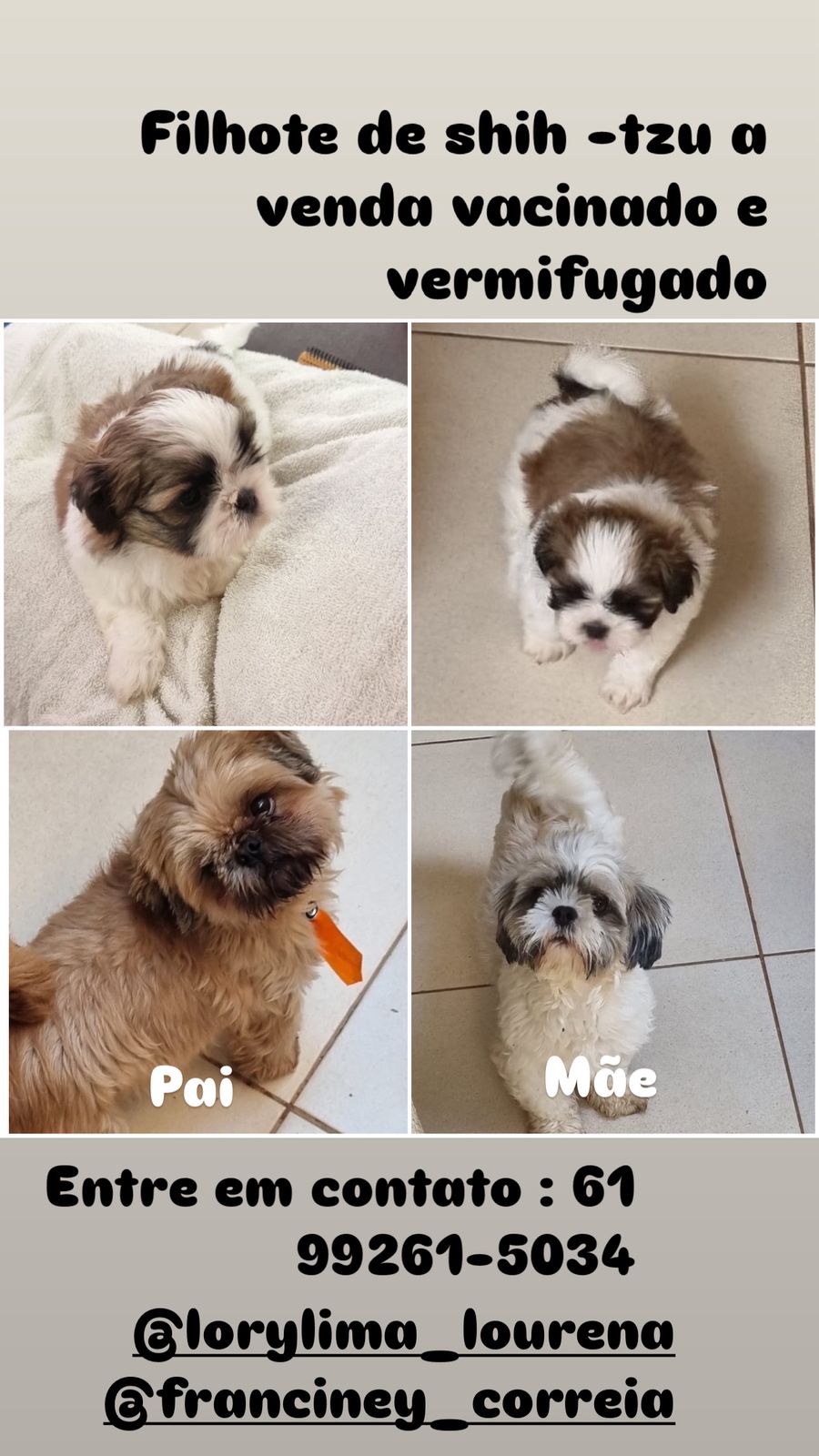 Portal Vendocão Venda Brasília