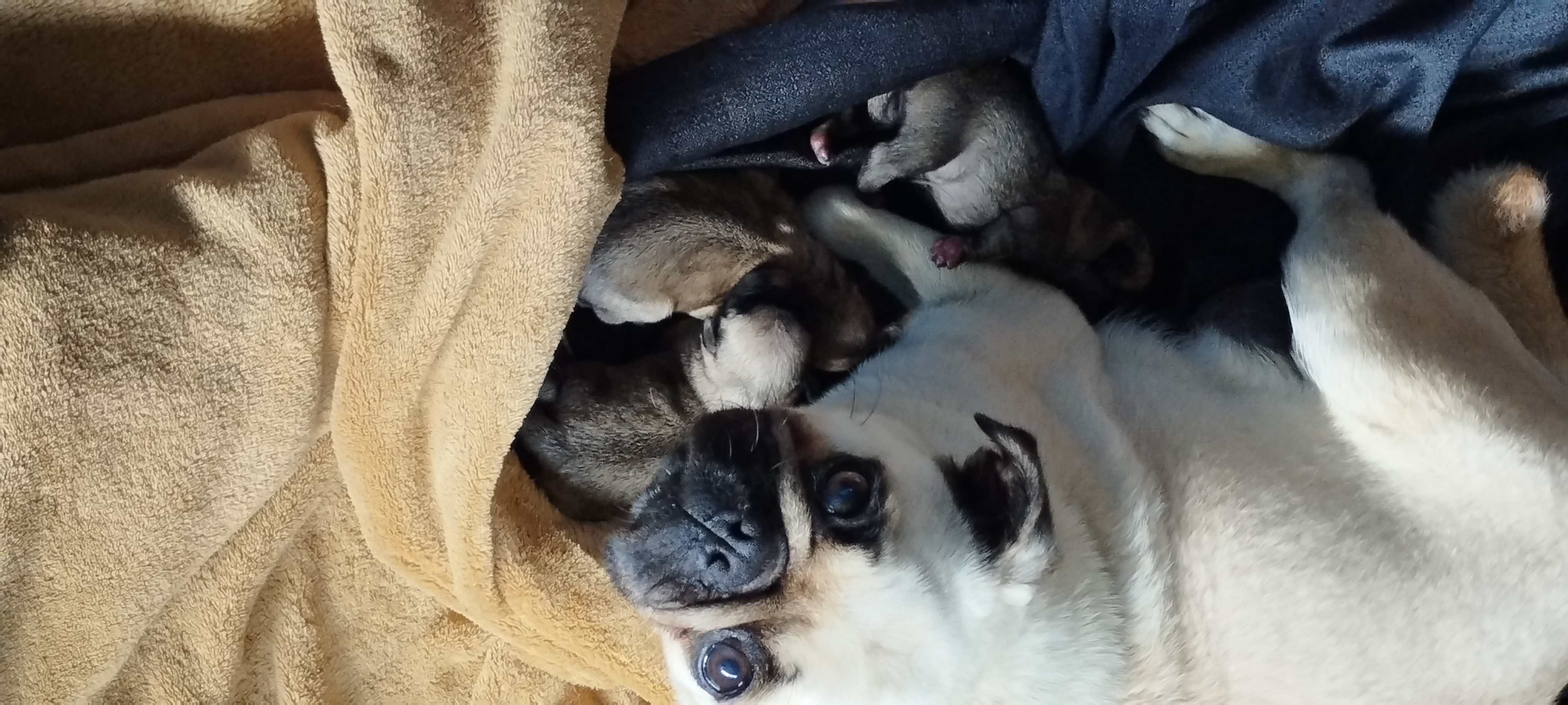 Portal Vendocão Venda Imbituba