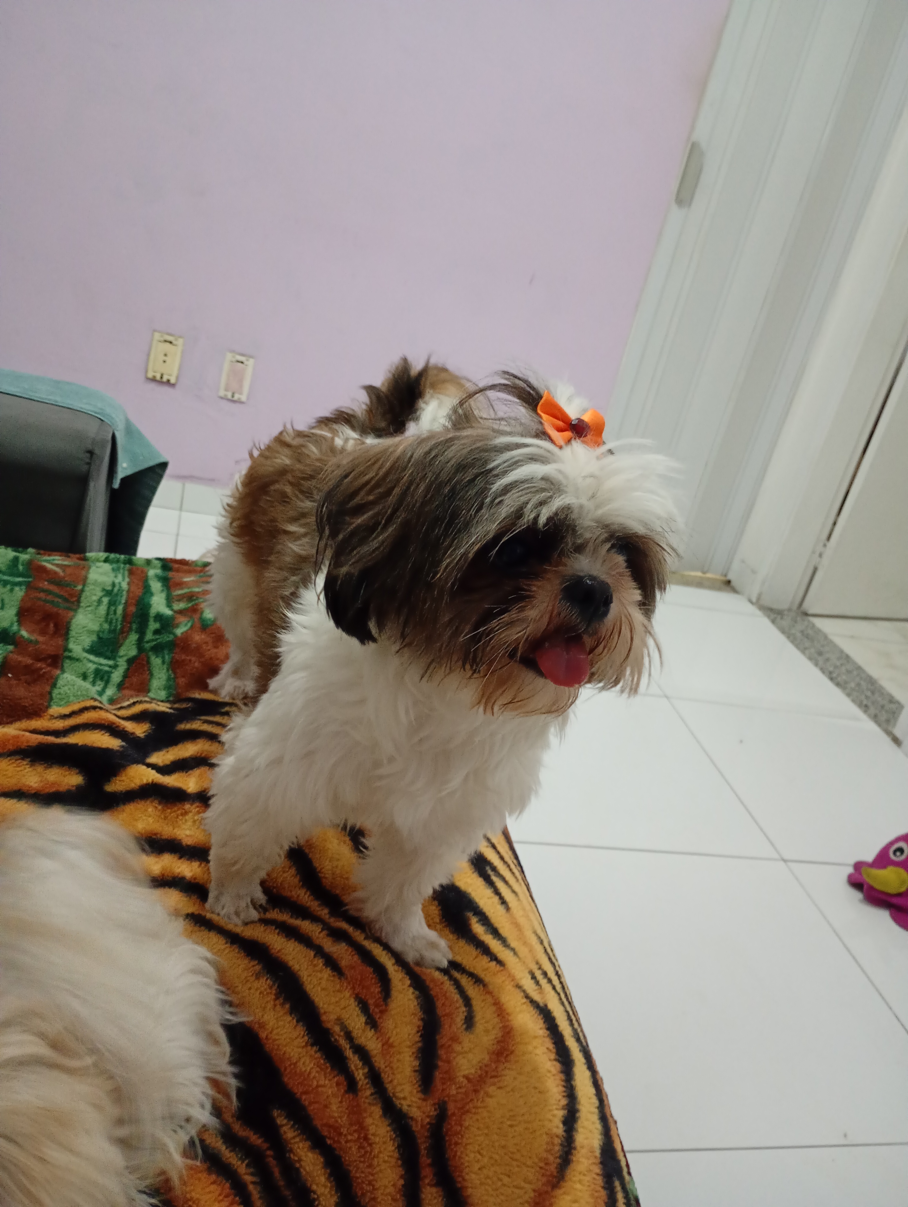 Vendo  - Foto 1