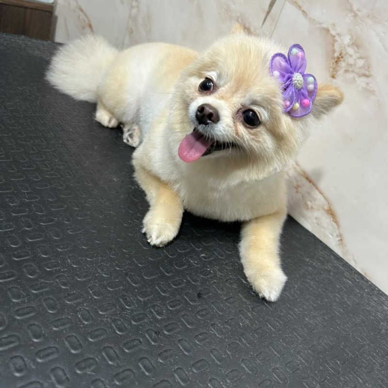 Filho - Foto 1