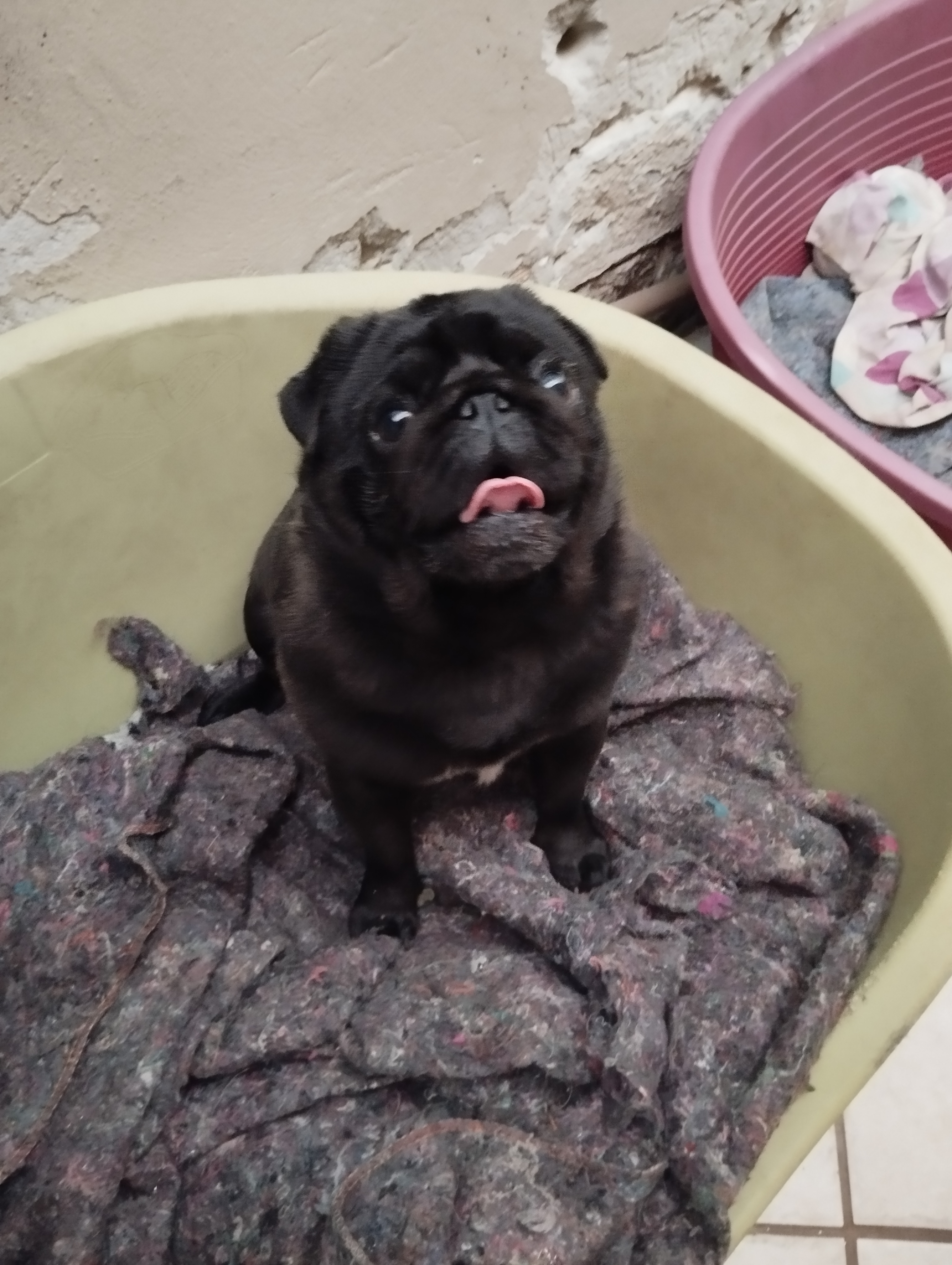 Portal Vendocão Venda  Porto Alegre