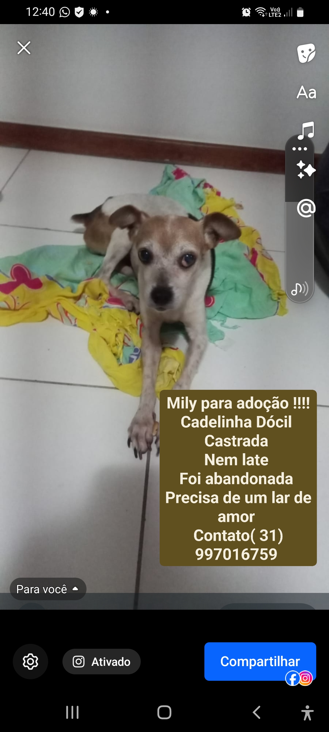 Adoção de Mily  - Foto 2