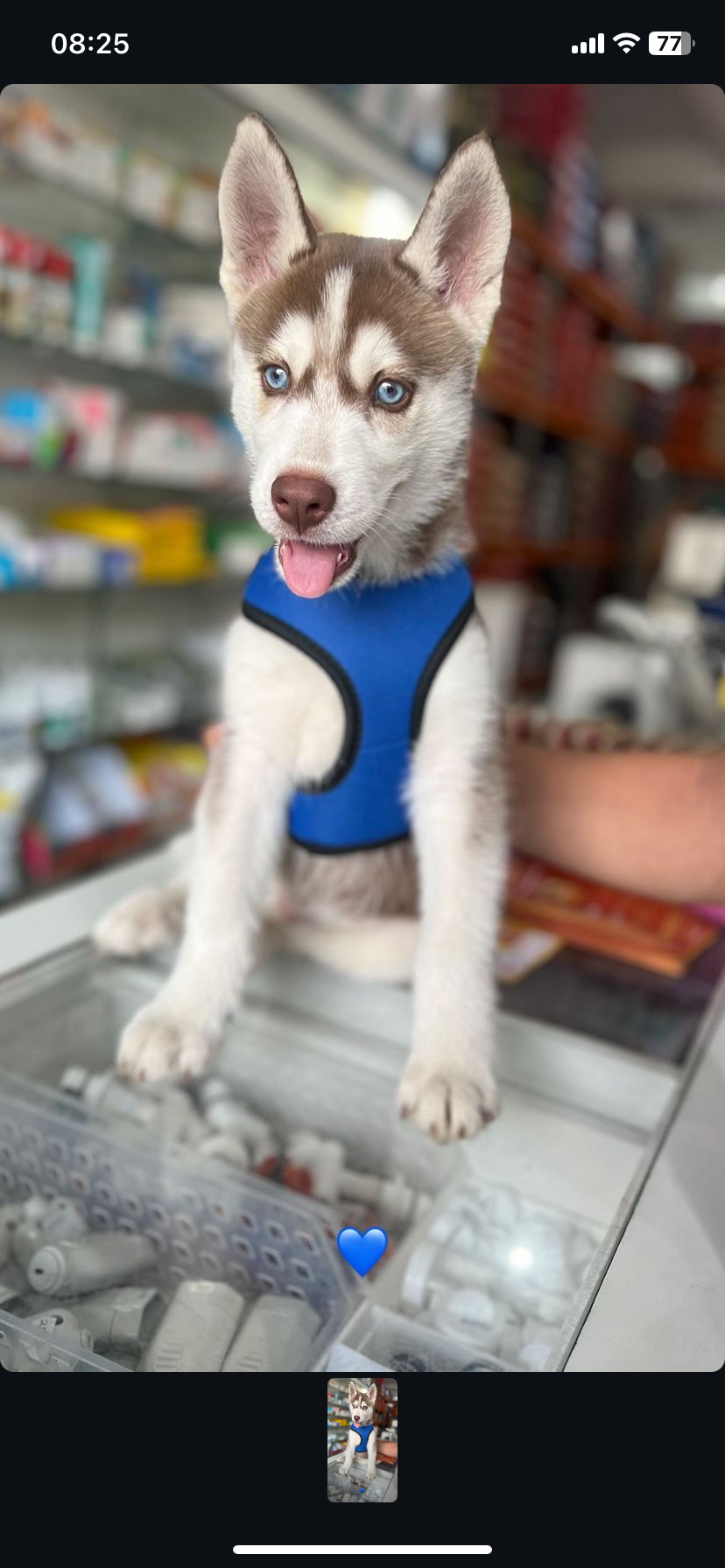 Portal Vendocão Husky  Betim