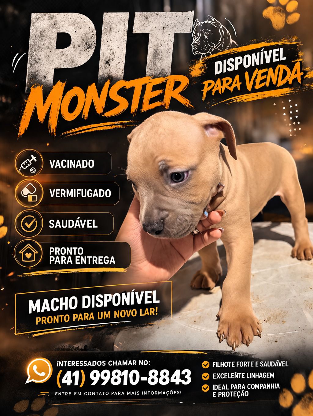 Pit Monster  - Foto 2