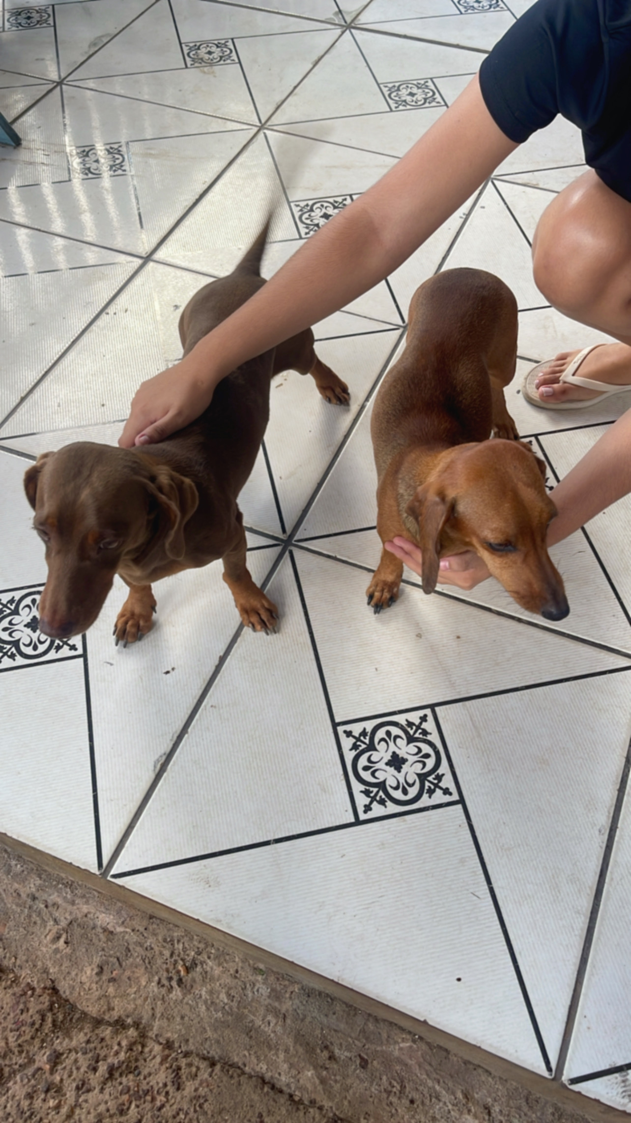 Portal Vendocão  Vendas Várzea Grande-MT