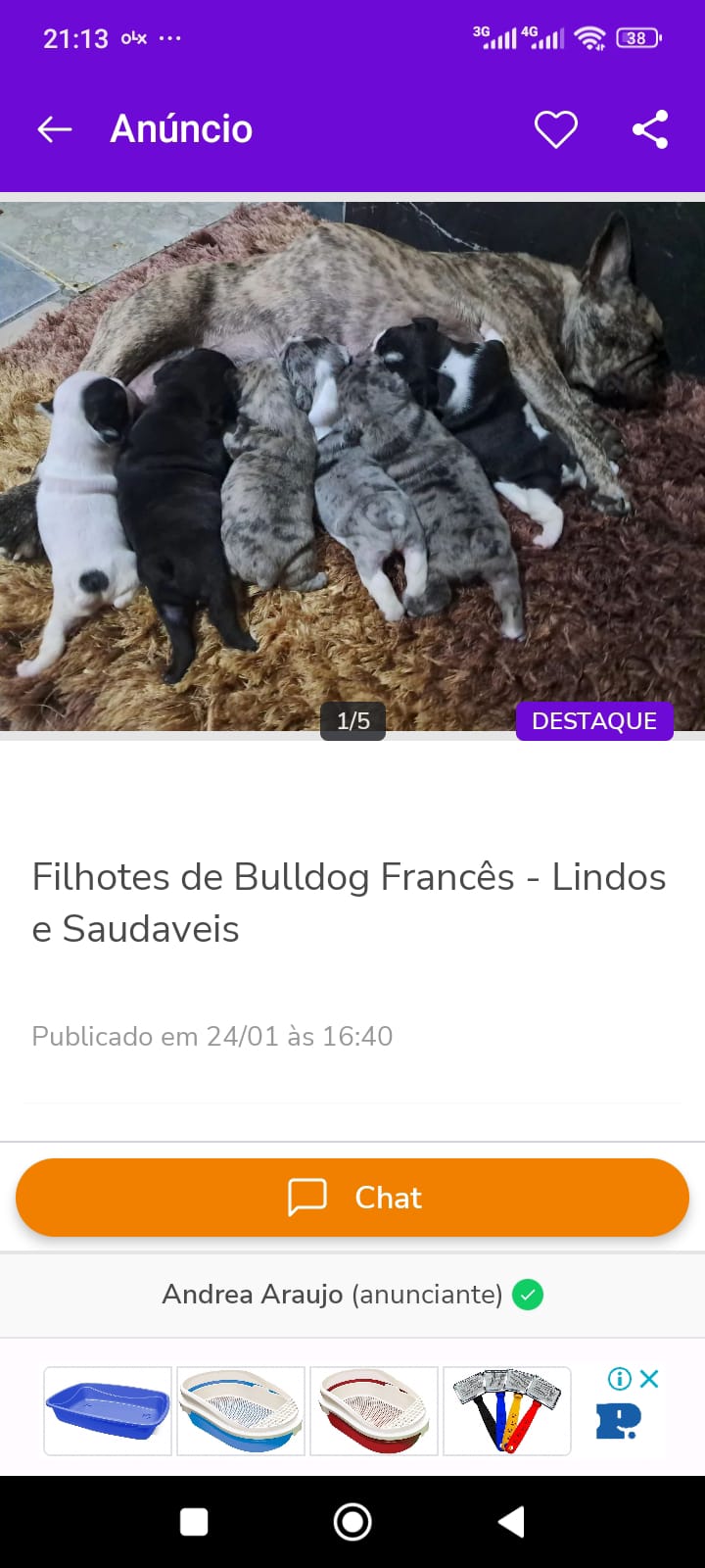 Portal Vendocão Filhotes disponíveis  Joinville sc