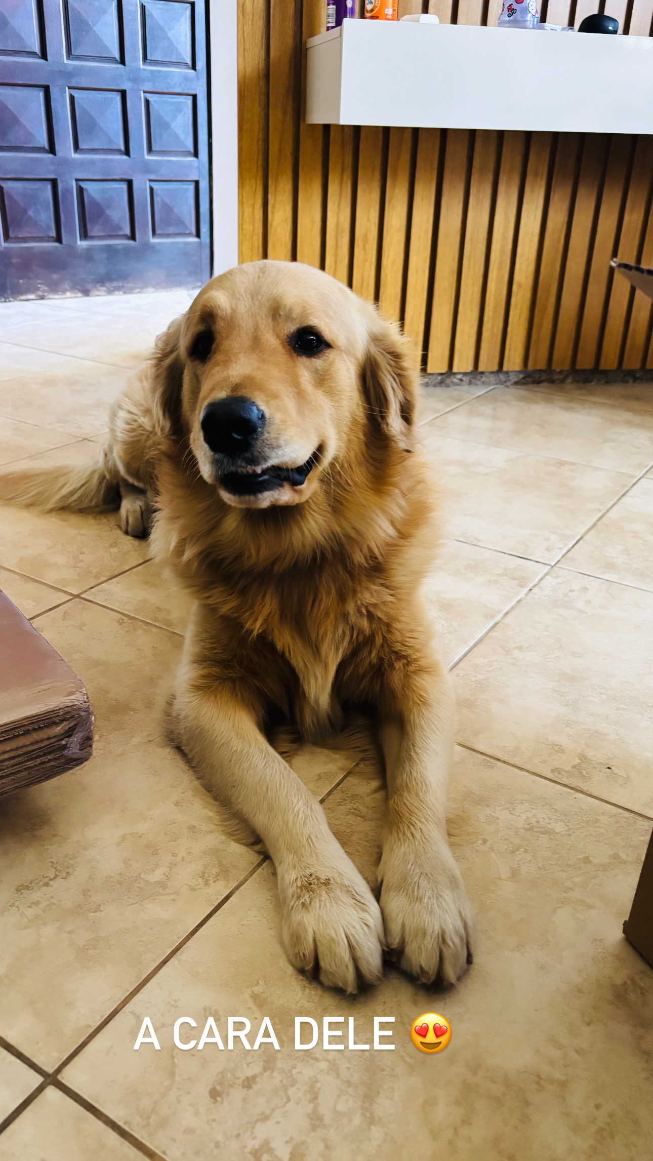 Portal Vendocão Golden  Rio de Janeiro 