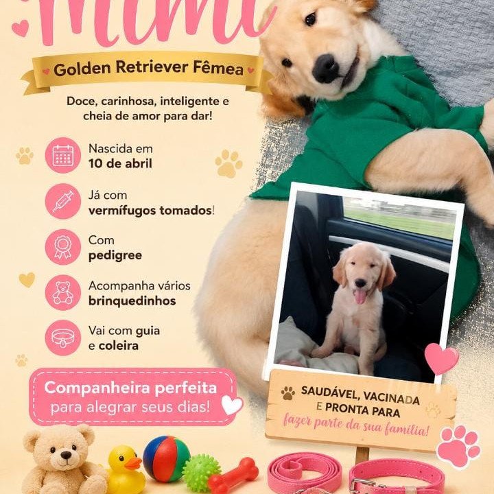 Estamos a procura de papai e mamãe para a doce Mimi