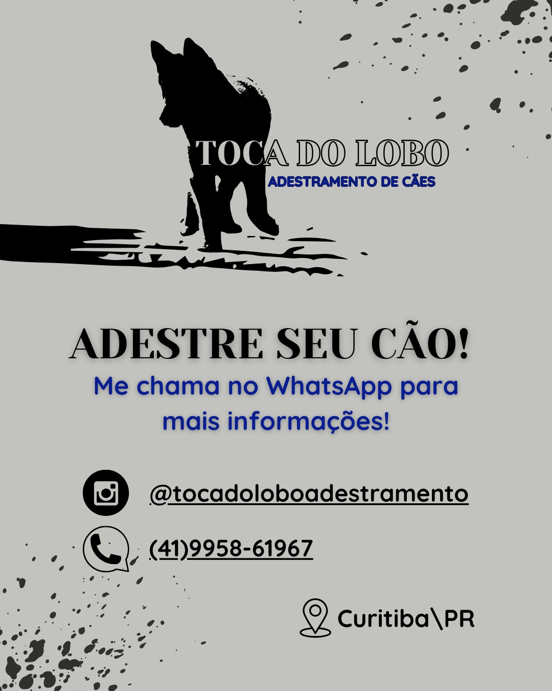 Adestramento de cães 