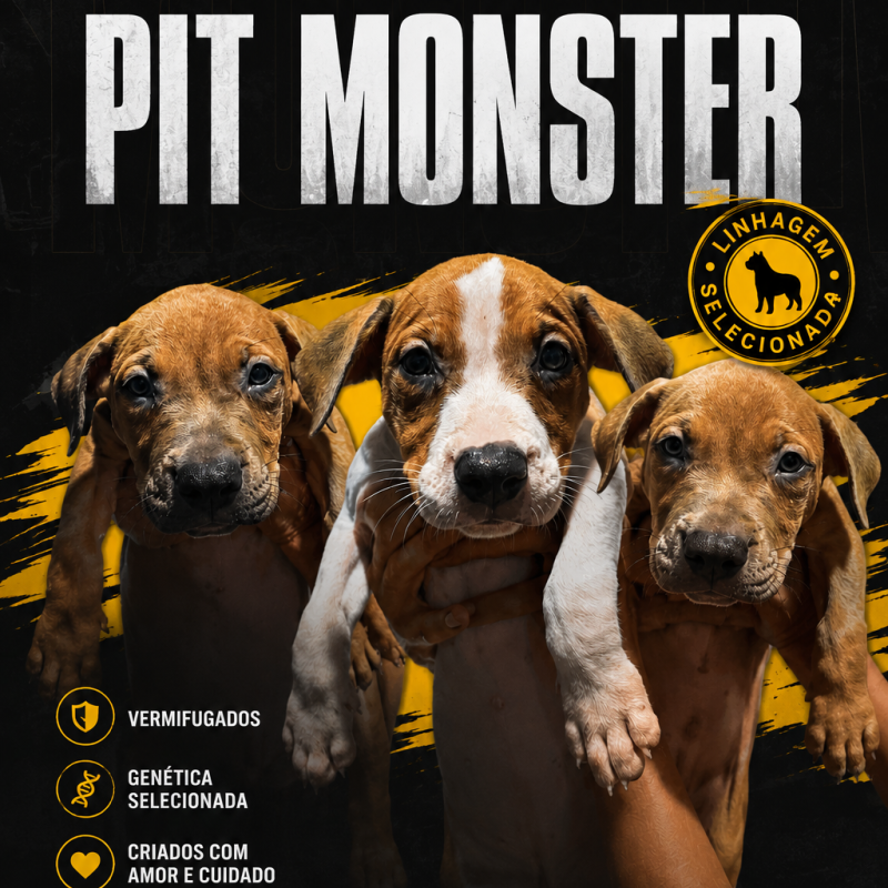 Pit Monster - Foto 1