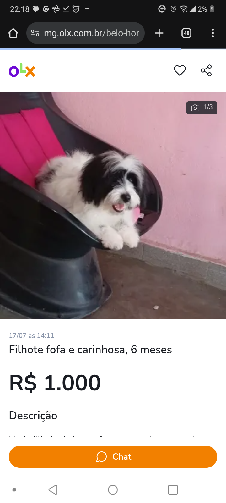 Vends de cachorro - Foto 1