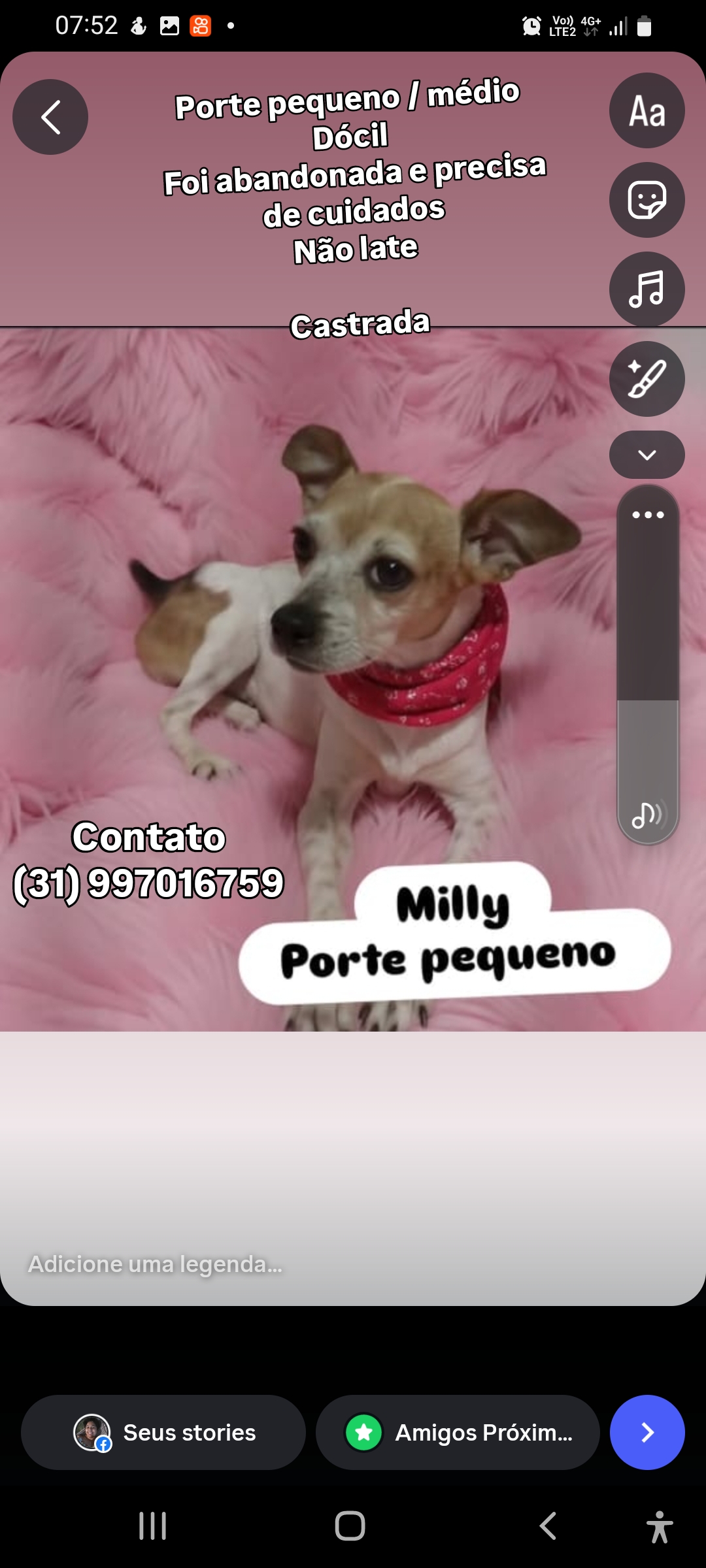 Adoção de Mily 