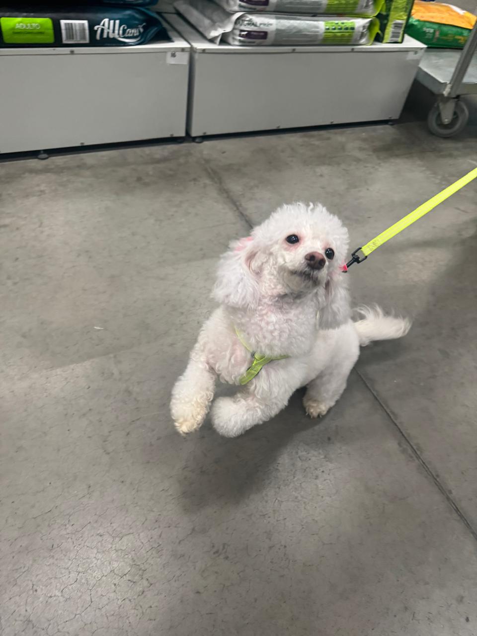 Portal Vendocão Procura-se namorado Belo Horizonte