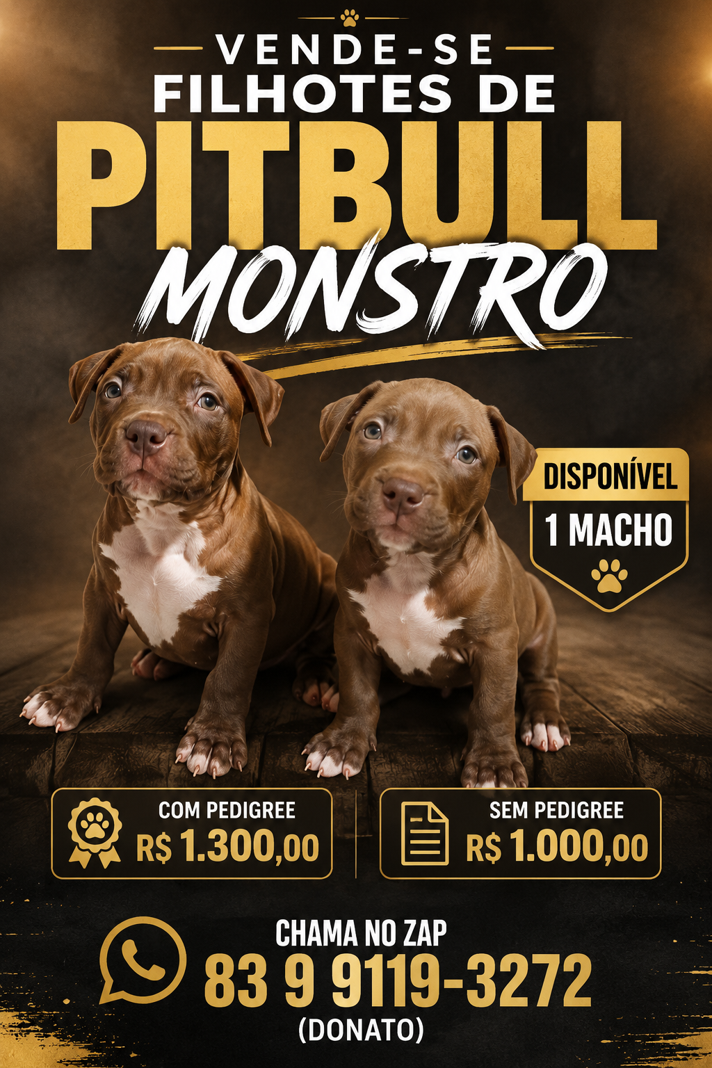 Vendo filhote de Pitbull Monstro