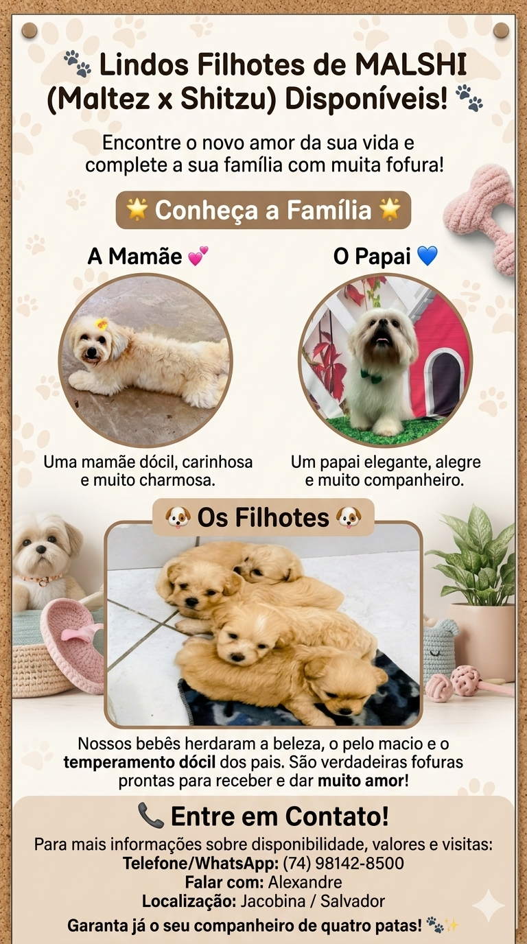 Lindos filhotes de MASHI